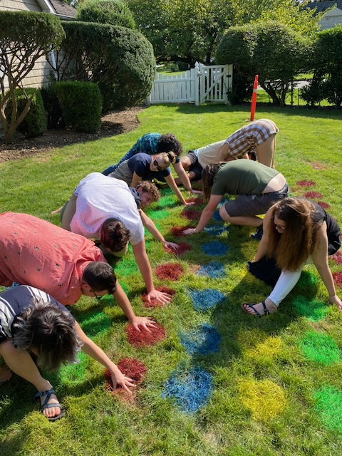 Giant Lawn Twister
